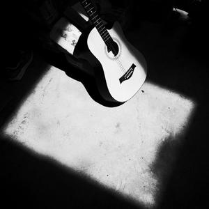 春菜花在线观看
