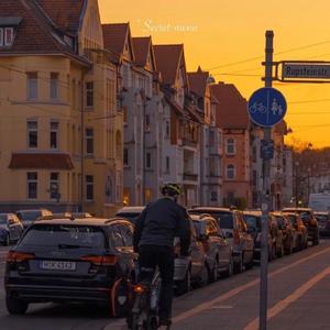 春菜花在线观看
