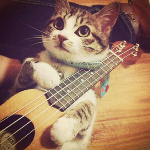 春菜花在线观看
