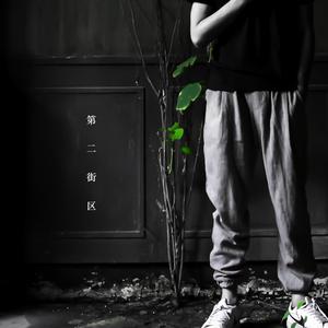 春菜花在线观看
