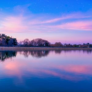 春菜花在线观看
