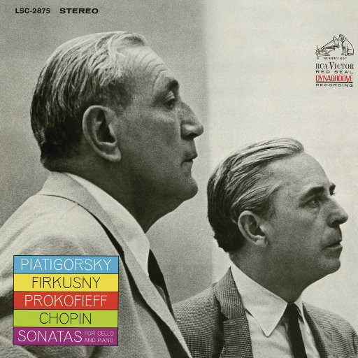 春菜花在线观看
